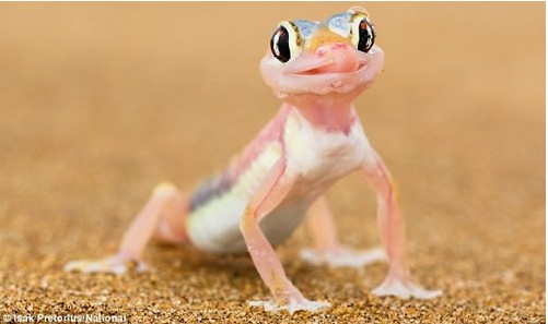 ��Ȥ���� �����ϵ�������Ｏ�ϣ�ͼ��