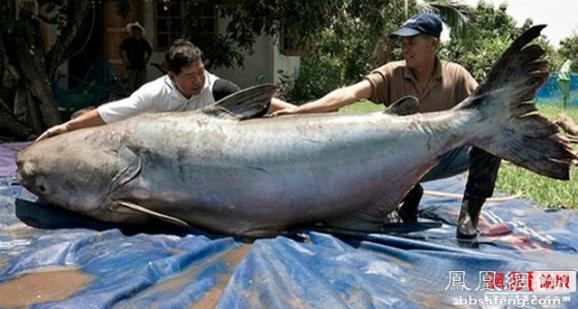 ������������� �������ޱ�_����Ȥ��