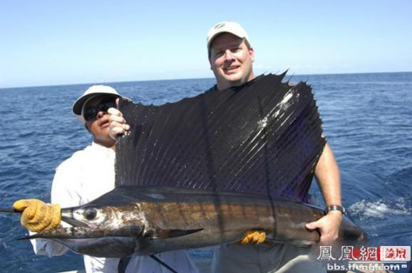 ������������� �������ޱ�_����Ȥ��