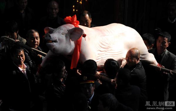 ������磺���ž�ѡ��Ƭ���㿴���磨ͼ��