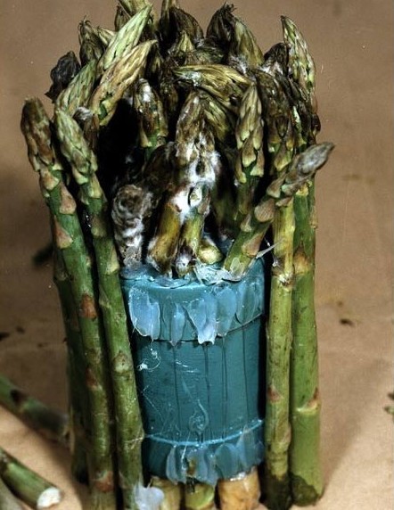 ���ط������ӵĲض������� ���治�У�ͼ��