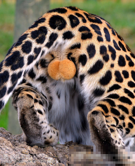 �����޴�������ɫ�� ��ЦͼƬ