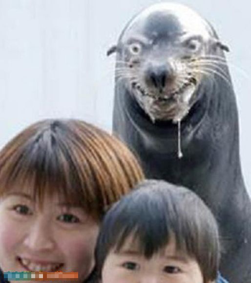 ץ�ľ��Ķ��ǵĶ��˲��(��ͼ)