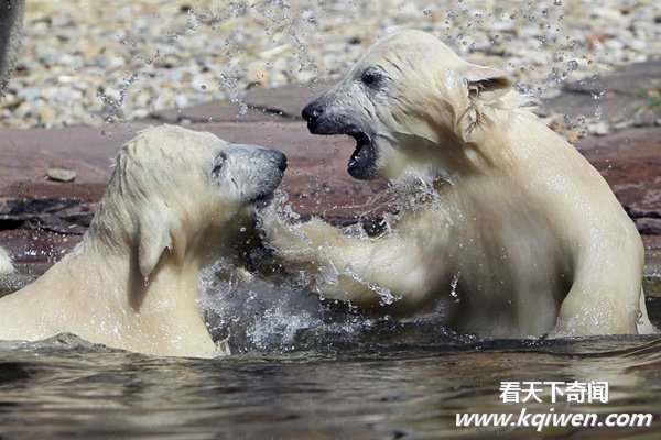 ʵ�Ķ�����Ȥ˲�䣬�ȷ���