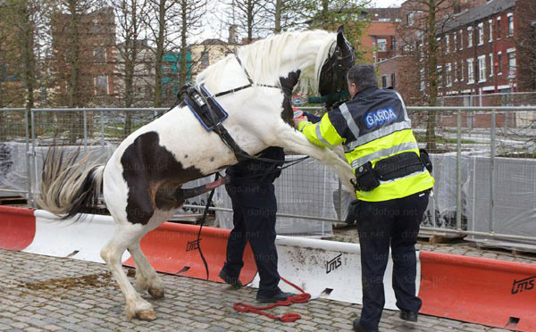 ���ÿ���ͻȻ���𾹵���¶��ǹǿ�����ﾯ(ʵ��������ͼ)